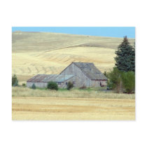 The Old Homestead postcards