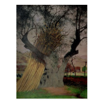 The Old Olive Tree, 1922 Post Card