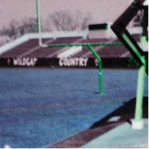 THE OLD STADIUM PHOTO SCULPTURES