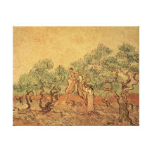 The Olive Grove, 1889 Canvas Prints
