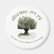 The olive tree, Thousand years providing oil, food Refrigerator Magnets