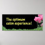 The optimum poster