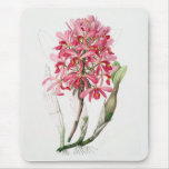 The Orchid - bring some femininity to your home Mouse Pads
