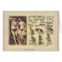 The Origin of Basset Greeting Card