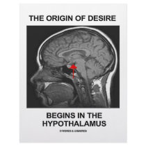 The Origin Of Desire Begins In the Hypothalamus