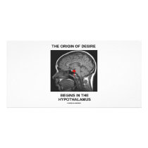 The Origin Of Desire Begins In the Hypothalamus