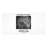 The Origin Of Desire Begins In the Hypothalamus photo cards