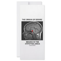 The Origin Of Desire Begins In the Hypothalamus