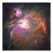 The Orion Nebula Messier 42 M42 NGC 1976 Photo Print