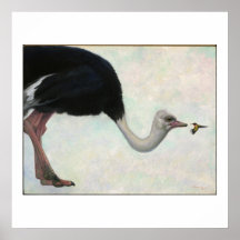 The Ostrich and the Hummingbird by Bryn Barnard Posters