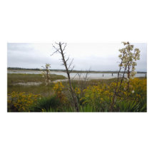 The Other Side of Oak Island Custom Photo Card