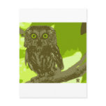The Owl's Wisdom postcards