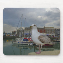 The Padstow Seagull, Padstow, Cornwall, UK Mouse Pads