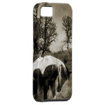 The Paint Horse i-Phone 5 Case iPhone 5 Covers