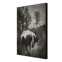 The Paint in Sepia Stretched Canvas Print