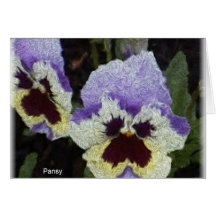 The pansies cards