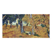 The Park Of The Hospital In Saint-Paul Saint-Remy Photo Card