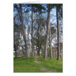 The path cards