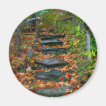The Path Fridge Magnet
