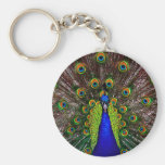 The Peacock Keychains