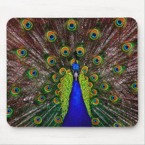 The Peacock Mousepad