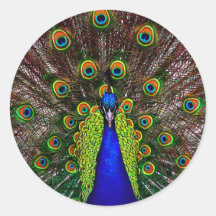 The Peacock Sticker
