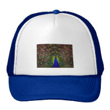 The Peacock Trucker Hat