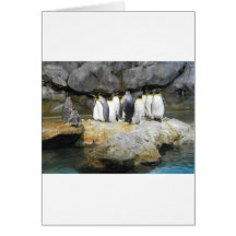 The Penguin Story Card