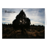 the Perfect tree Greeting Card