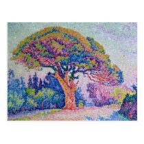 The Pine Tree at St. Tropez, 1909 postcards
