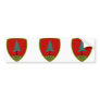 the Pinerolo Brigade, Italy Bumper Sticker