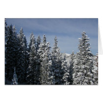 The Pines of Aspen Greeting Cards