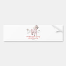 THE PINK SHEEP BUMPER STICKERS