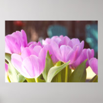 The Pink Tulip Poster