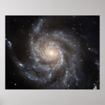The Pinwheel Galaxy.