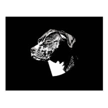 THE PIT BULL POSTCARDS