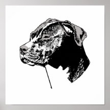 THE PIT BULL POSTERS