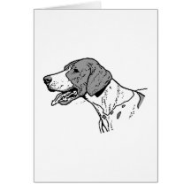 THE POINTER CARDS