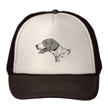 THE POINTER MESH HATS