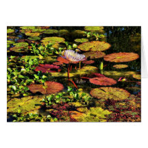 "The Pond" Greeting Card