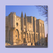 The Pope's Palace in Avignon with people magnets