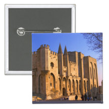 The Pope's Palace in Avignon with people Pin