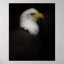 'The Prestigous Bald Eagle' Poster