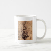 The Principle Organs and Vascular and Urino-Genita mugs