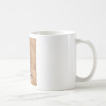 The Principle Organs and Vascular and Urino-Genita mugs