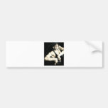 The Privacy of Flamenco Bumper Stickers