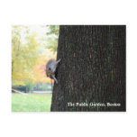 The Public Garden, Boston Postcards