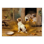 The Puppies Greeting Cards