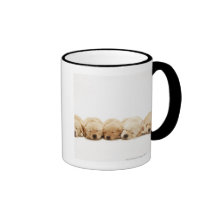 The puppies of the golden retriever coffee mugs
