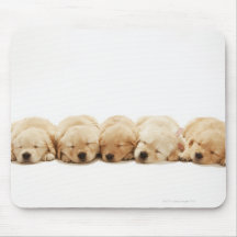 The puppies of the golden retriever mouse pad